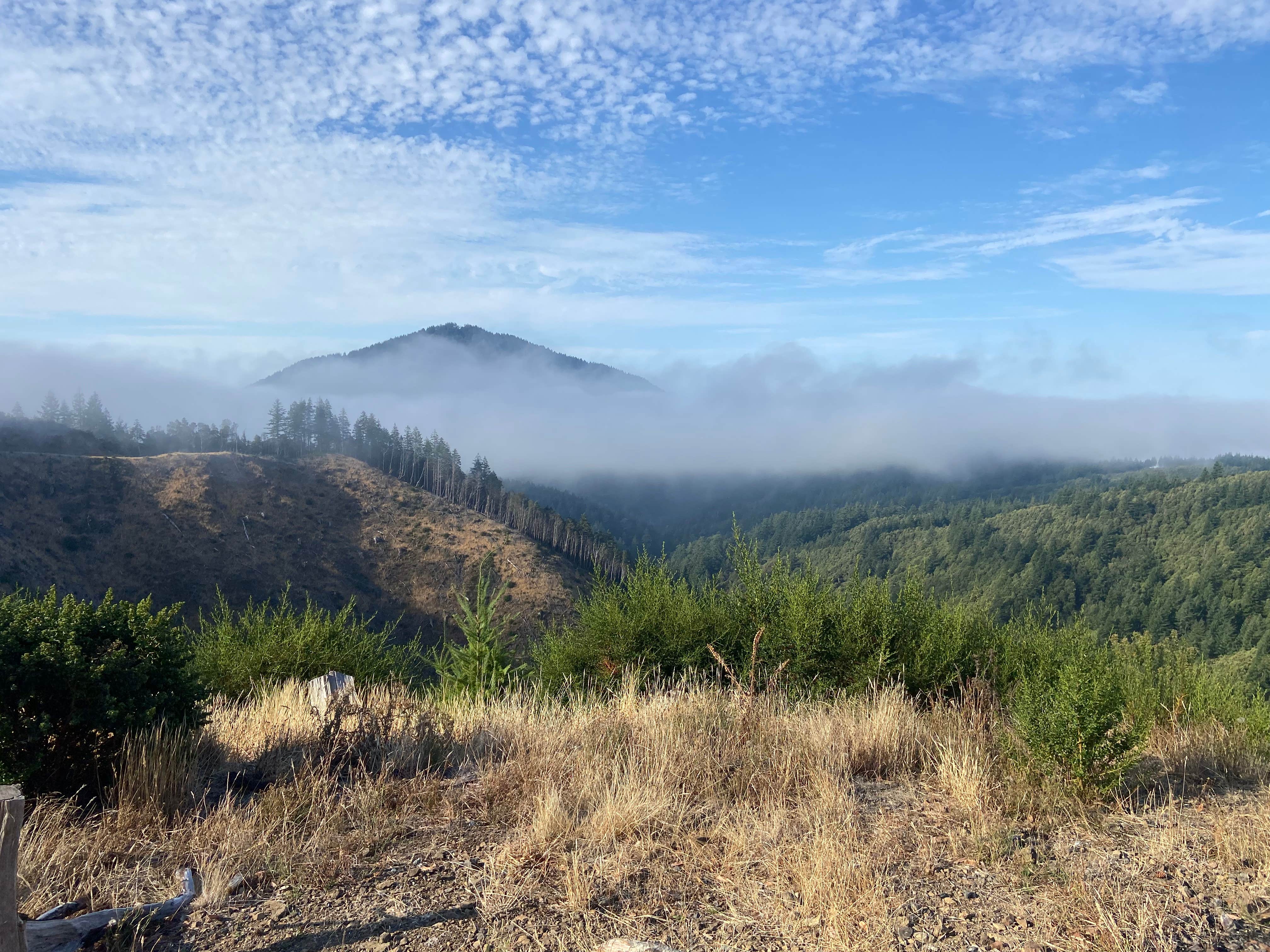Camper-submitted photo at Forrest Road 280 near Humbug near Gold Beach, OR