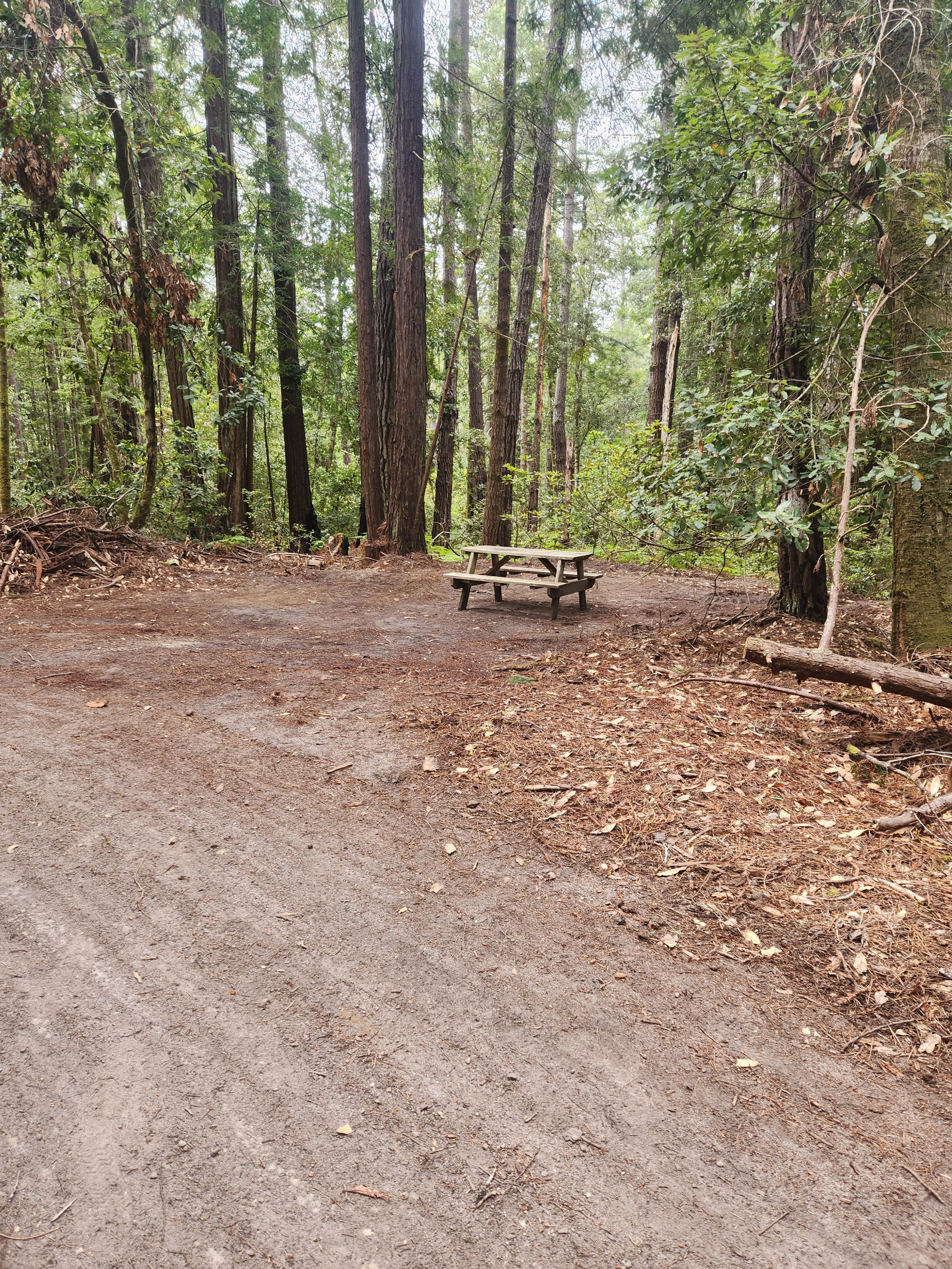 Camper-submitted photo at Leisure Time RV Park near Little River, CA