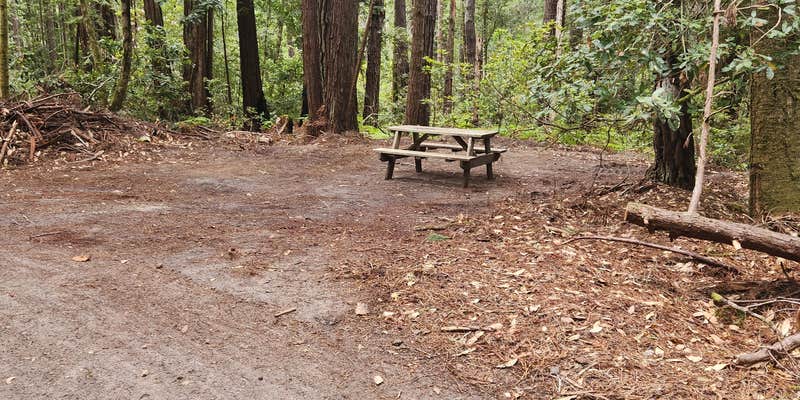 Camper submitted image from Leisure Time RV Park