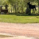 Review photo of Fort Bridger RV Camp by Kirk J., June 6, 2026