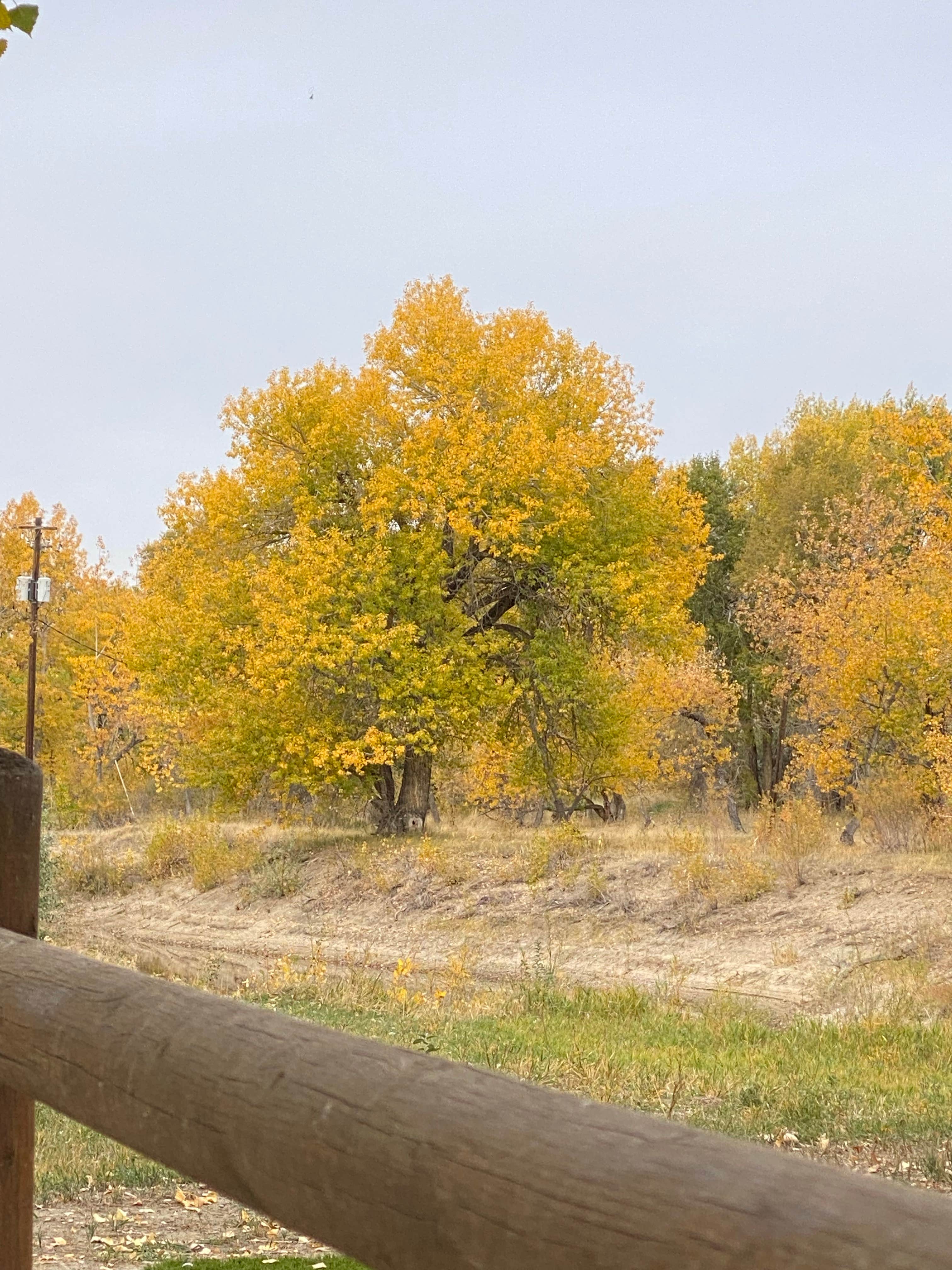 Camper-submitted photo at Fort Caspar Campground near Mills, WY