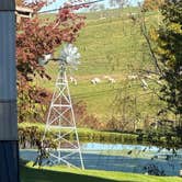 Review photo of Fort Chiswell RV Park by Michelle A., October 28, 2026