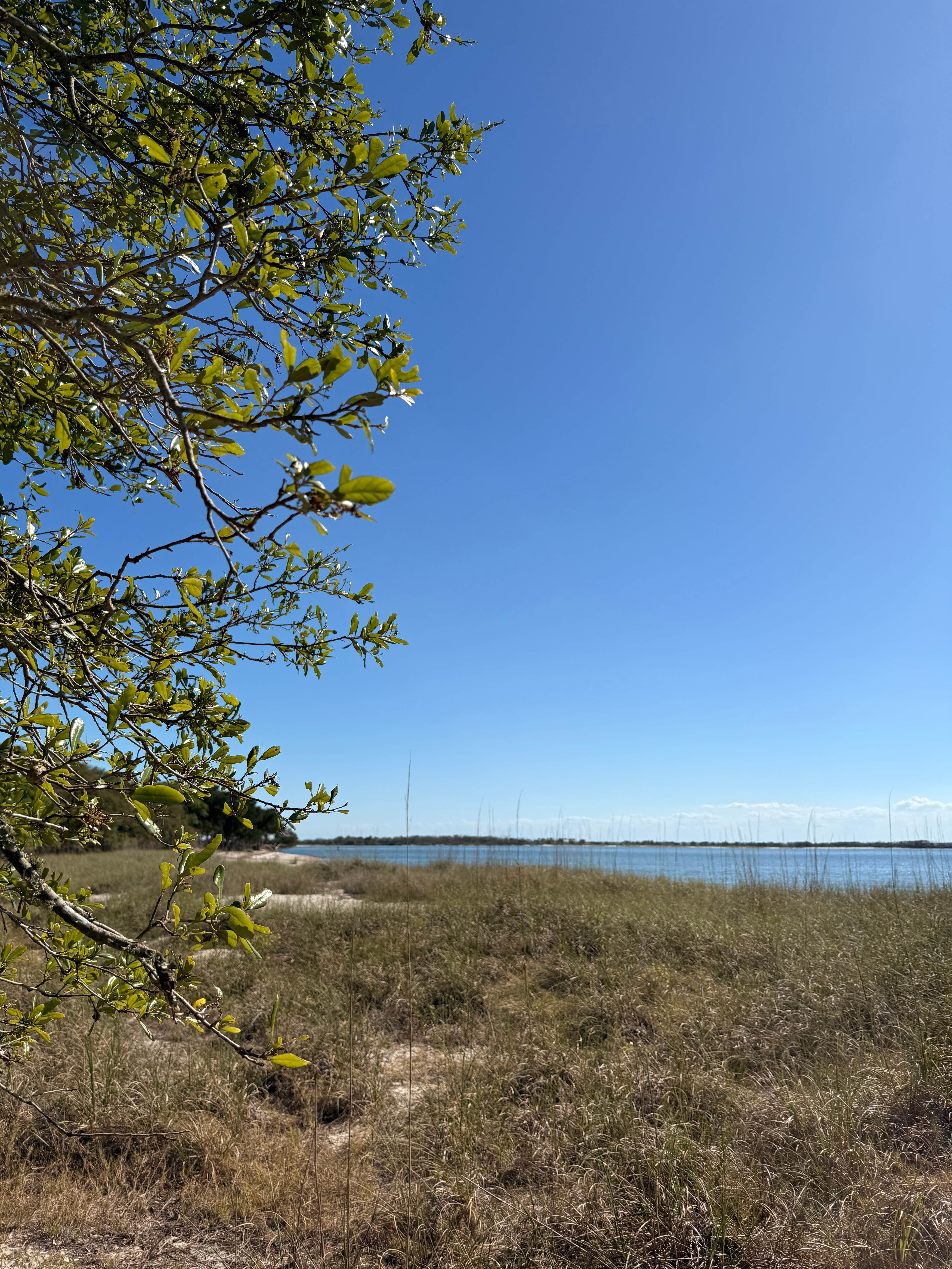 Camper-submitted photo at Amelia River Campground — Fort Clinch State Park near Fernandina Beach, FL