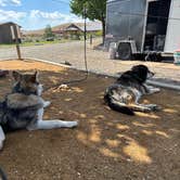 Review photo of Fort Harrison RV Park by Cable A., October 20, 2025