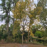 Review photo of Fort Kearny SRA by Michael B., September 24, 2024