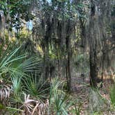 Review photo of Fort McAllister State Park Campground by Lisa M., September 21, 2025