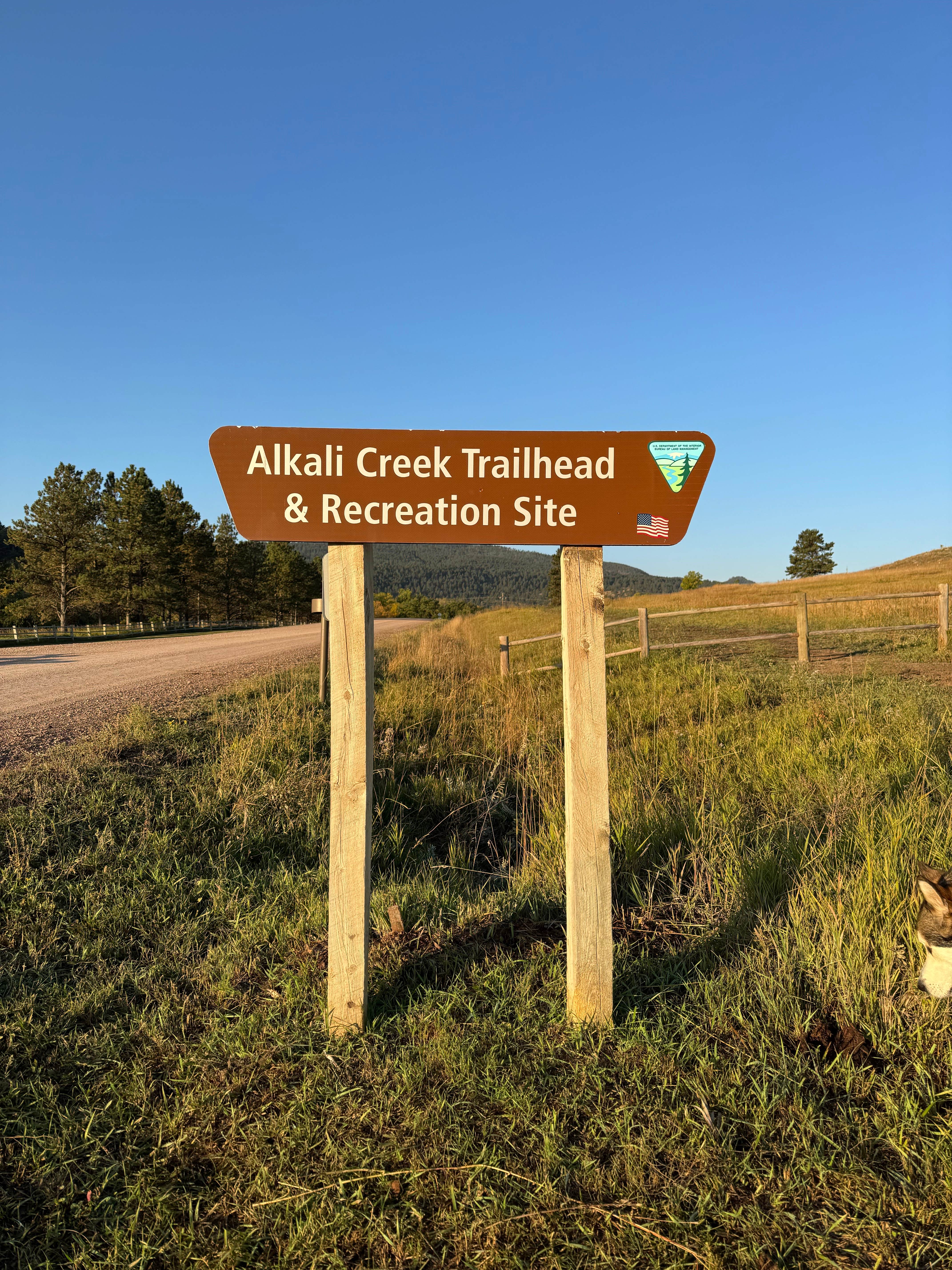 Camper-submitted photo at Fort Meade Recreation Area near Sundance, WY