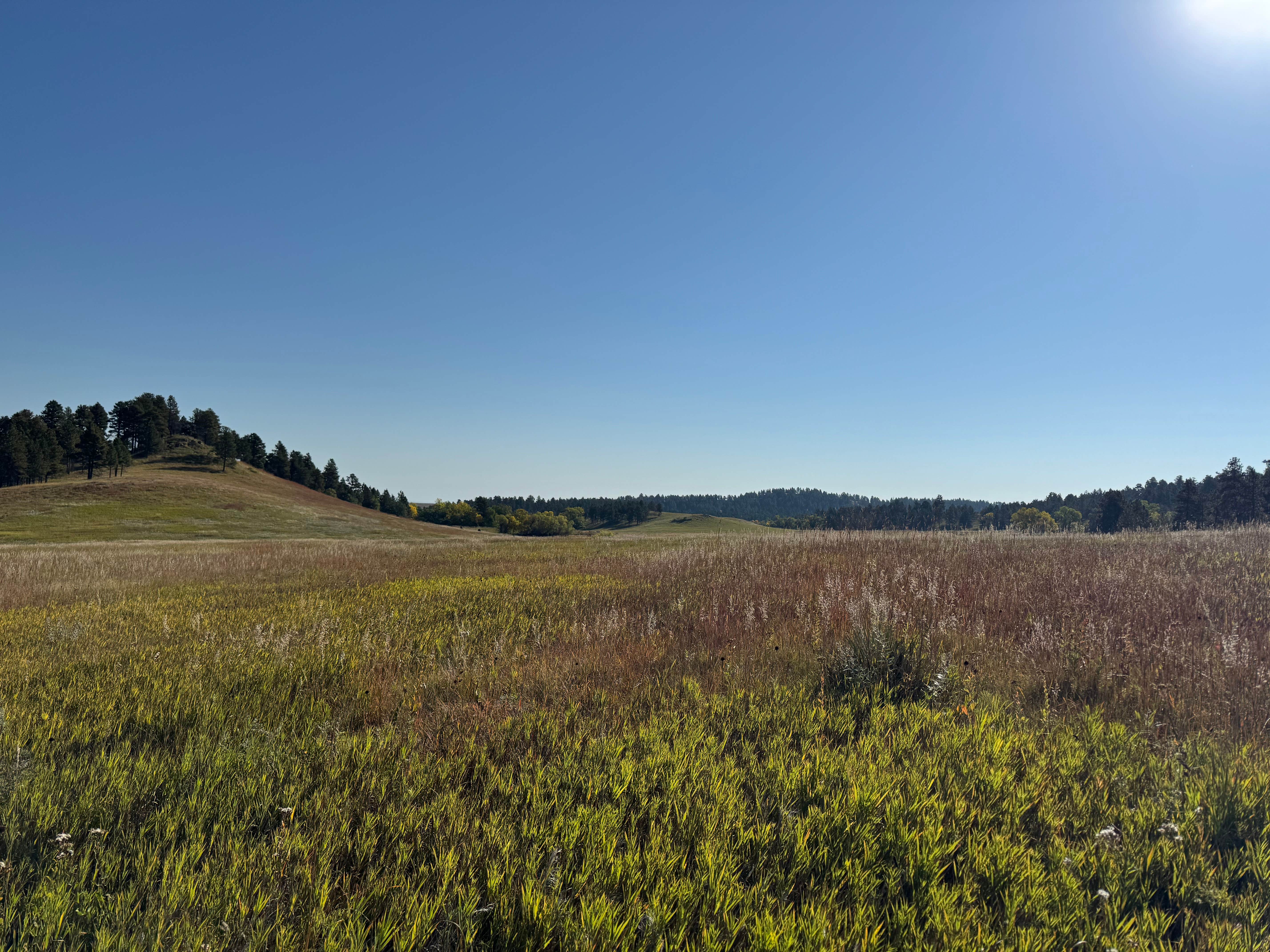 Camper-submitted photo at Fort Meade Recreation Area near Sundance, WY