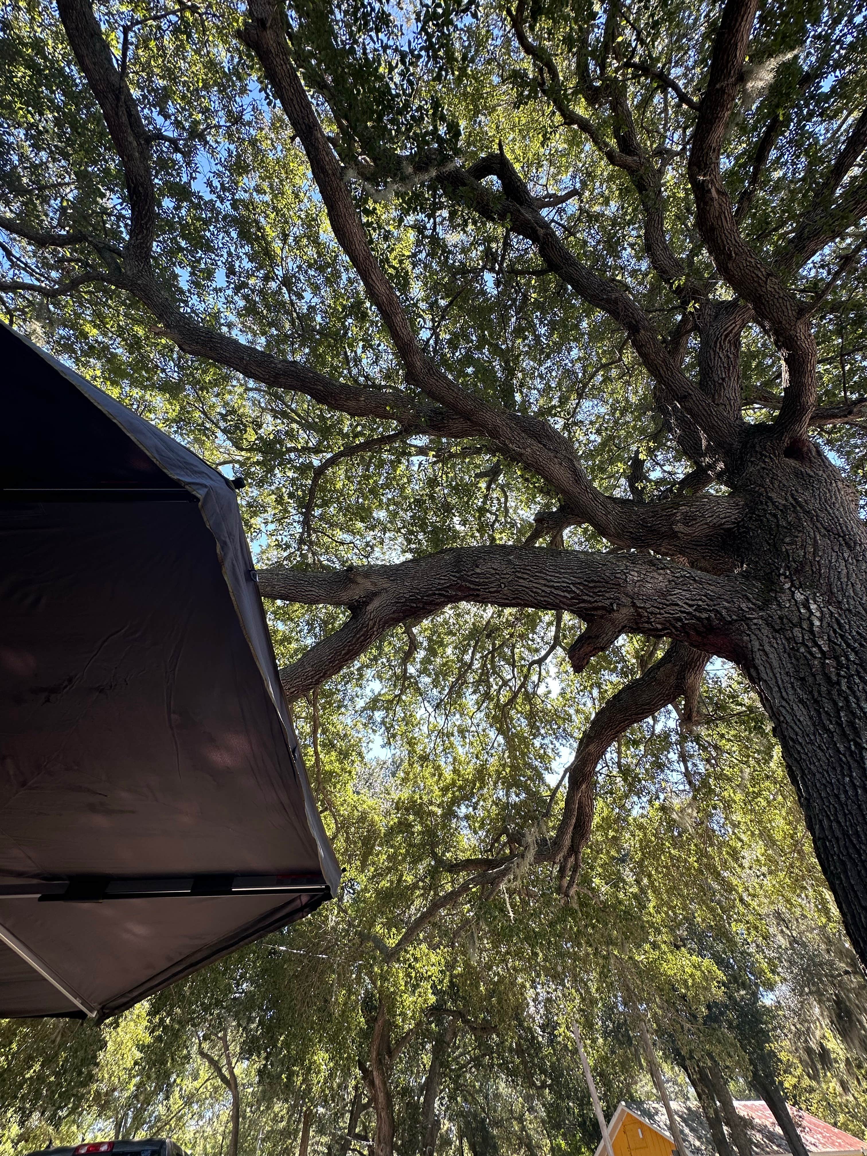 Camper-submitted photo at Fort Morgan RV Park near Dauphin Island, AL