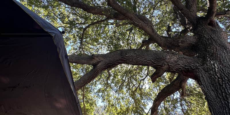 Camper submitted image from Fort Morgan RV Park