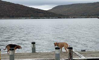 Caleb K.'s photo of camping with pets at Fort Myers-Pine Island KOA near Sanibel, FL