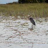 Review photo of Fort Pickens Campground — Gulf Islands National Seashore by Lisa M., September 28, 2025