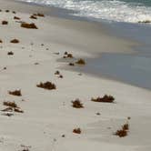 Review photo of Fort Pickens Campground — Gulf Islands National Seashore by Jennifer M., April 26, 2025