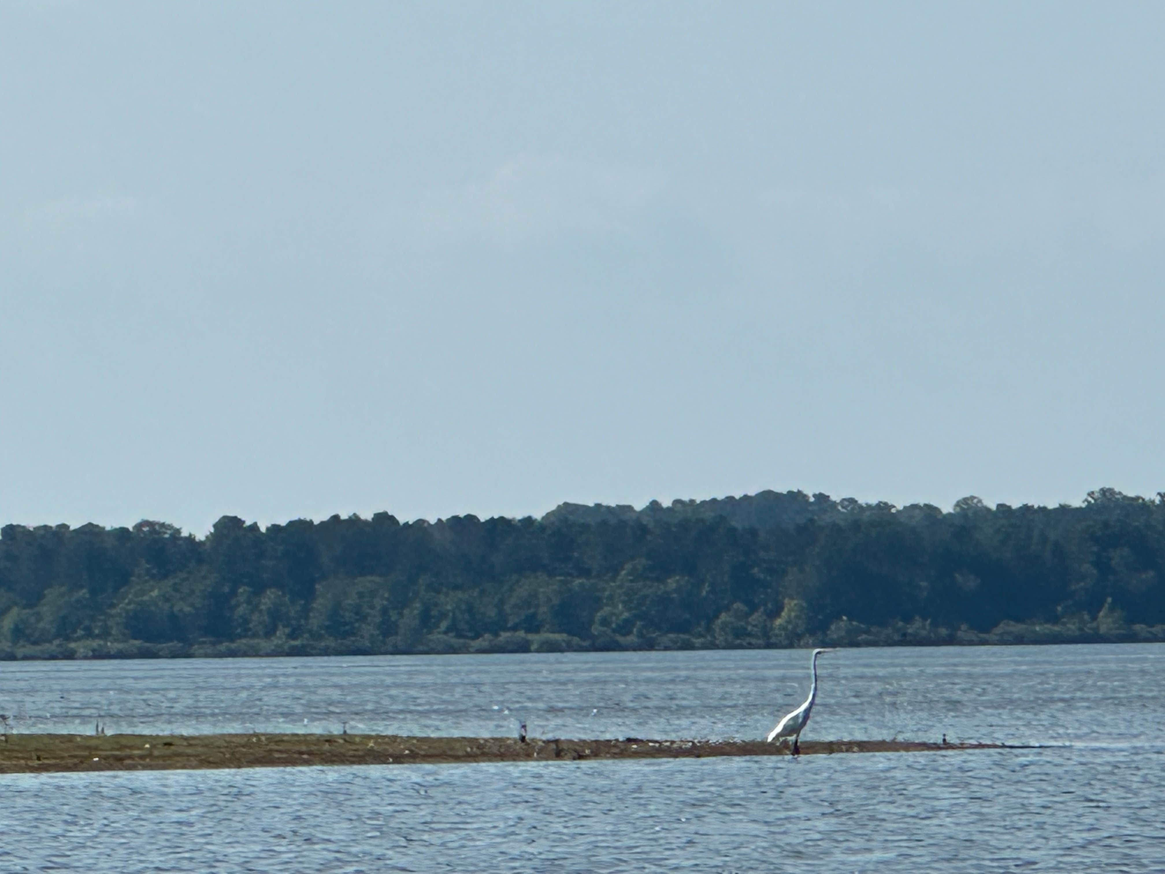 Camper-submitted photo at Fort Polk MWR South Toledo Bend near Anacoco, LA