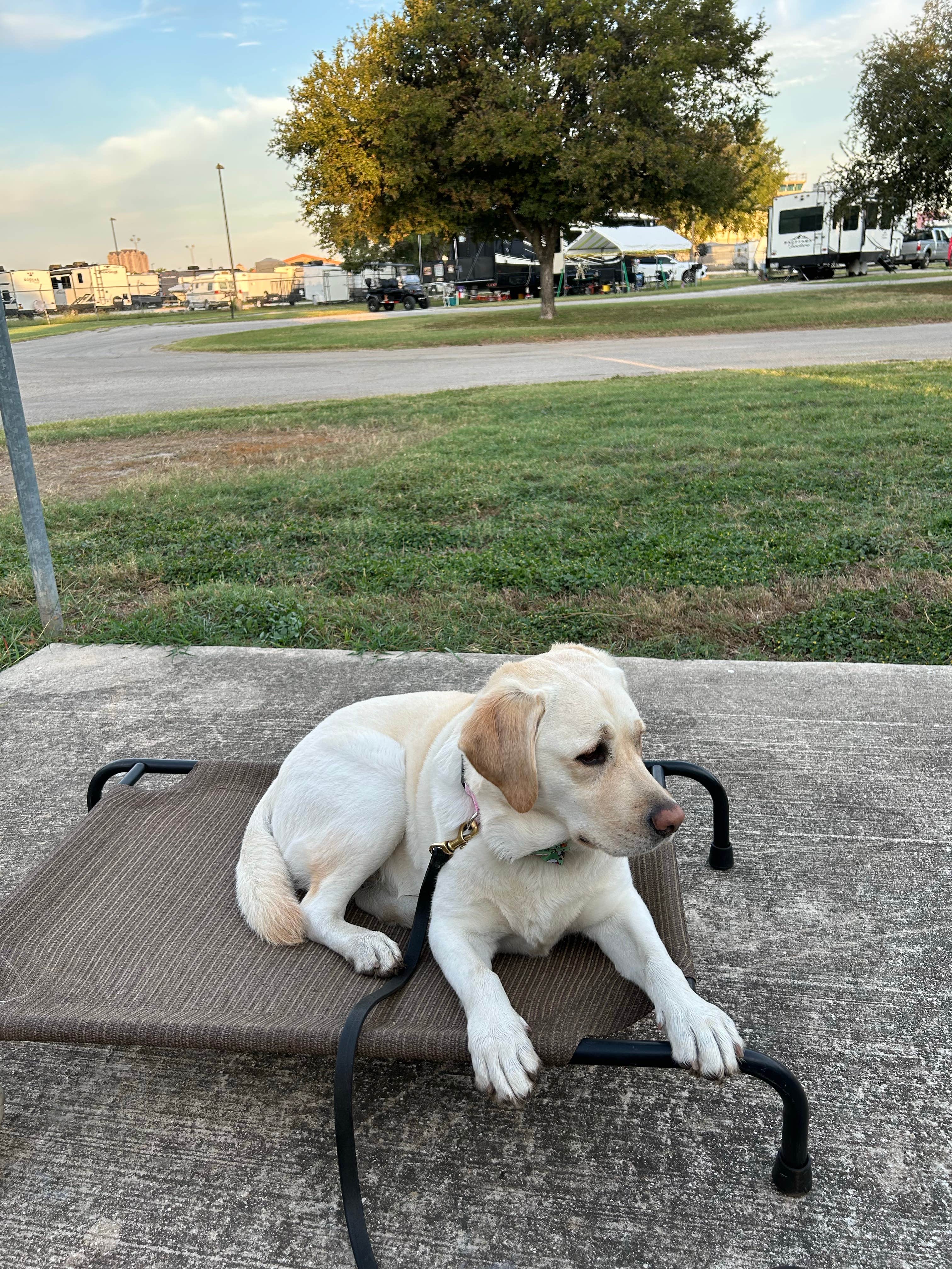 Camper-submitted photo at Fort Sam Houston Army RV near Shavano Park, TX