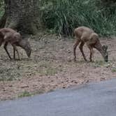 Review photo of Fort Steven's State Park by Barbara H., October 13, 2025