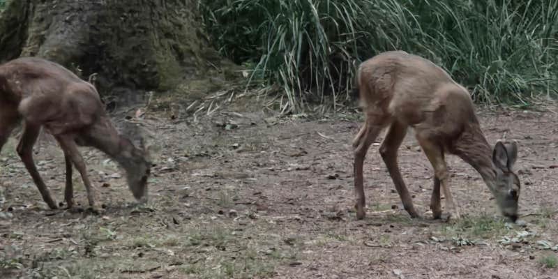 Camper submitted image from Fort Steven's State Park