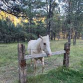 Review photo of Fort Welikit Family Campground and RV Park by Trevor A., September 29, 2025