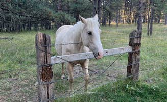 Trevor A.'s photo of camping with a horse at Fort Welikit Family Campground and RV Park near Rapid City, SD