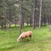 Review photo of Fort Welikit Family Campground and RV Park by Kelly P., June 13, 2025