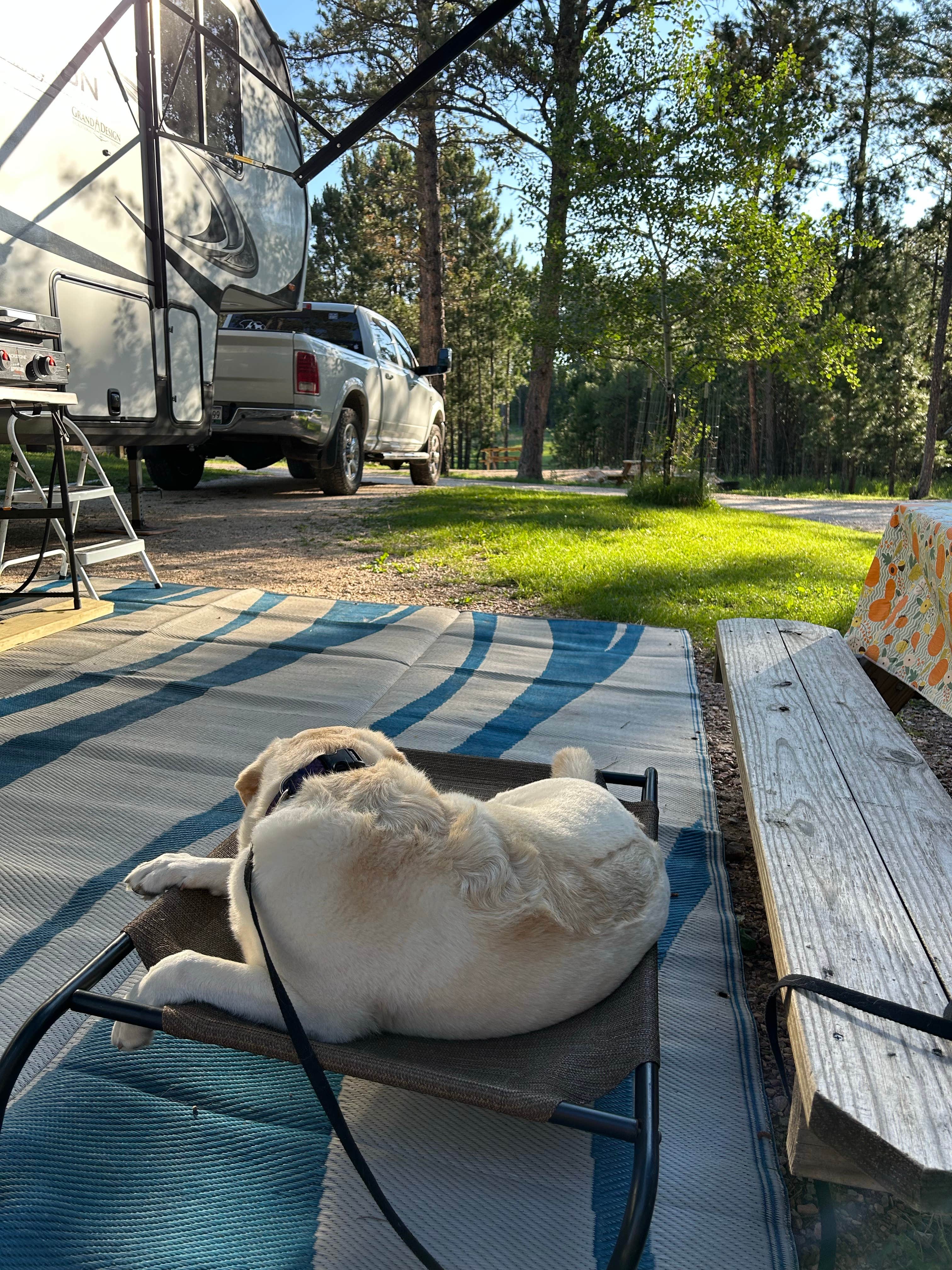 Brenda L.'s photo of camping with pets at Fort Welikit Family Campground and RV Park near Custer, SD
