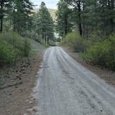 Review photo of Fossett Gulch Rd Dispersed by Debra P., May 31, 2025