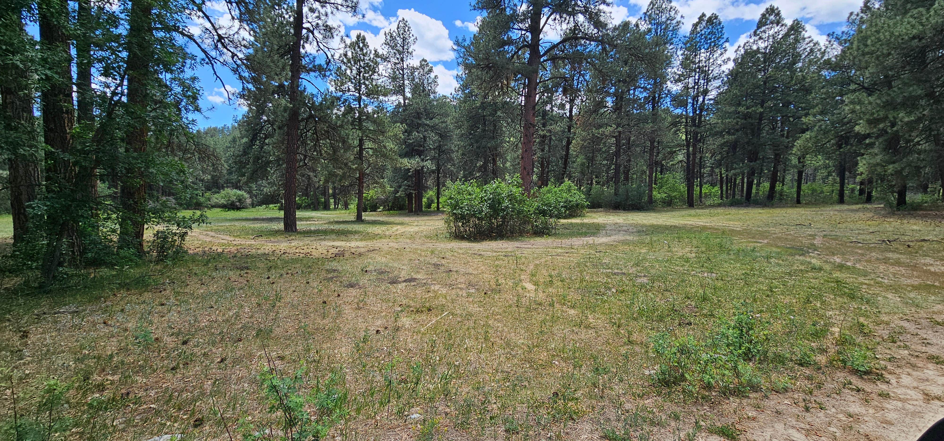 Camper-submitted photo at Fossett Gulch Rd Dispersed near Chimney Rock, CO