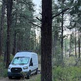Review photo of Fossett Gulch Rd Dispersed by Debra P., May 31, 2025