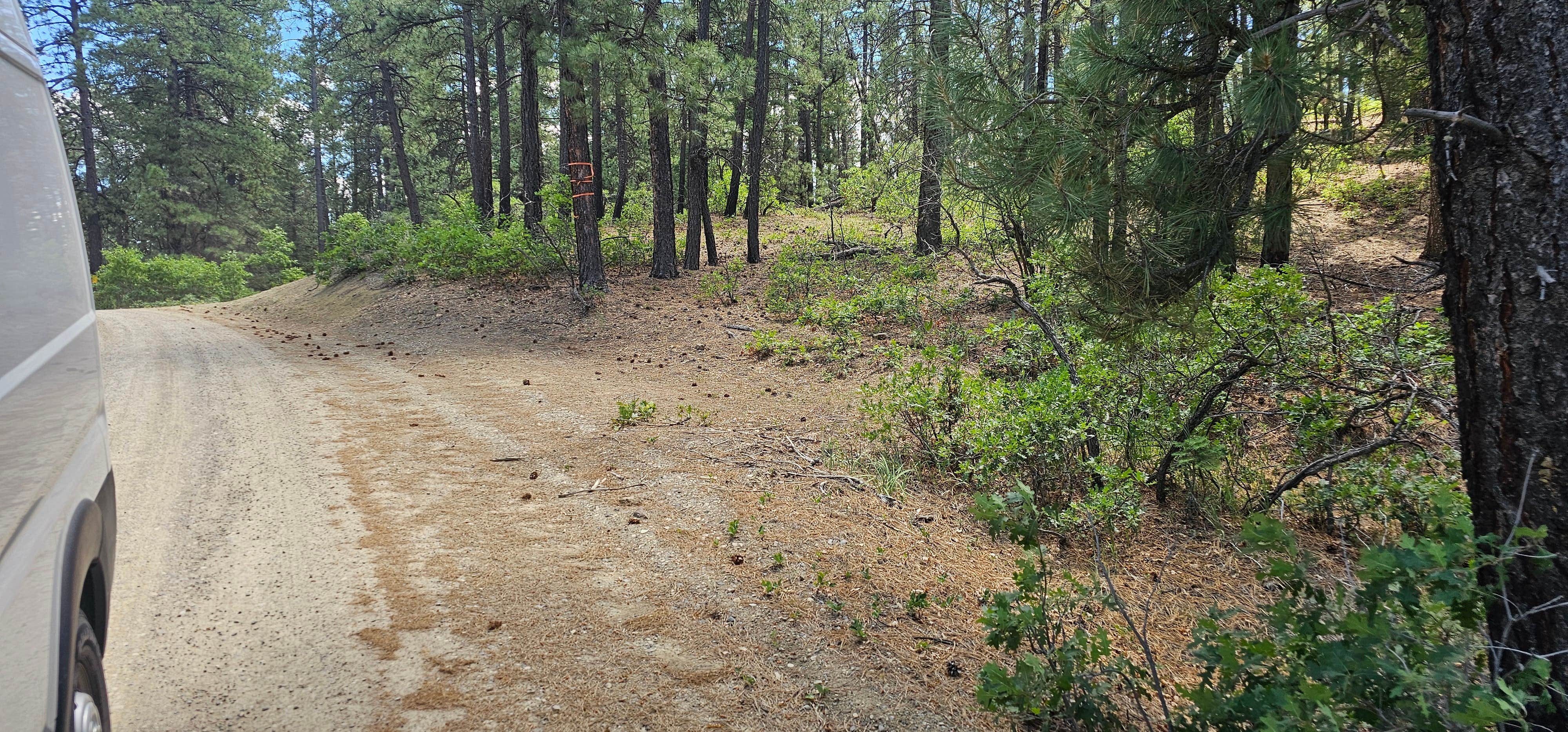 Camper-submitted photo at Fossett Gulch Rd Dispersed near Chimney Rock, CO