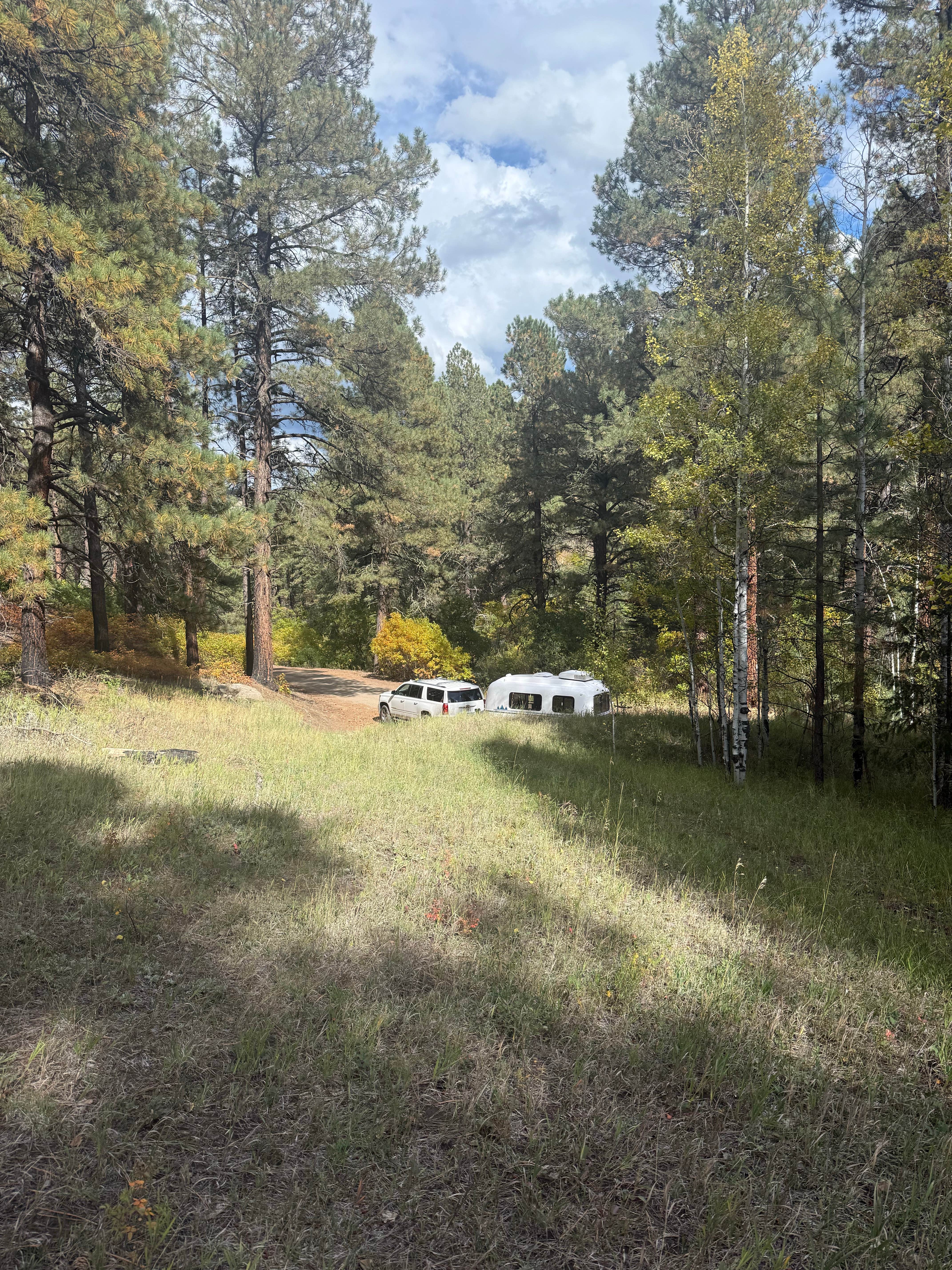 Camping near Lower Piedra Campground: Fossett Gulch Rd Dispersed, Chimney Rock, Colorado