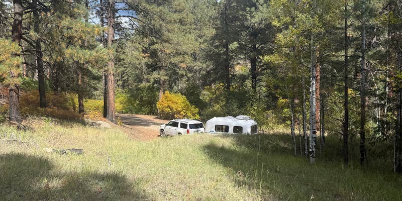 Camper submitted image from Fossett Gulch Rd Dispersed