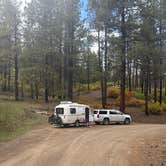 Review photo of Fossett Gulch Rd Dispersed by Bruce L., October 1, 2025