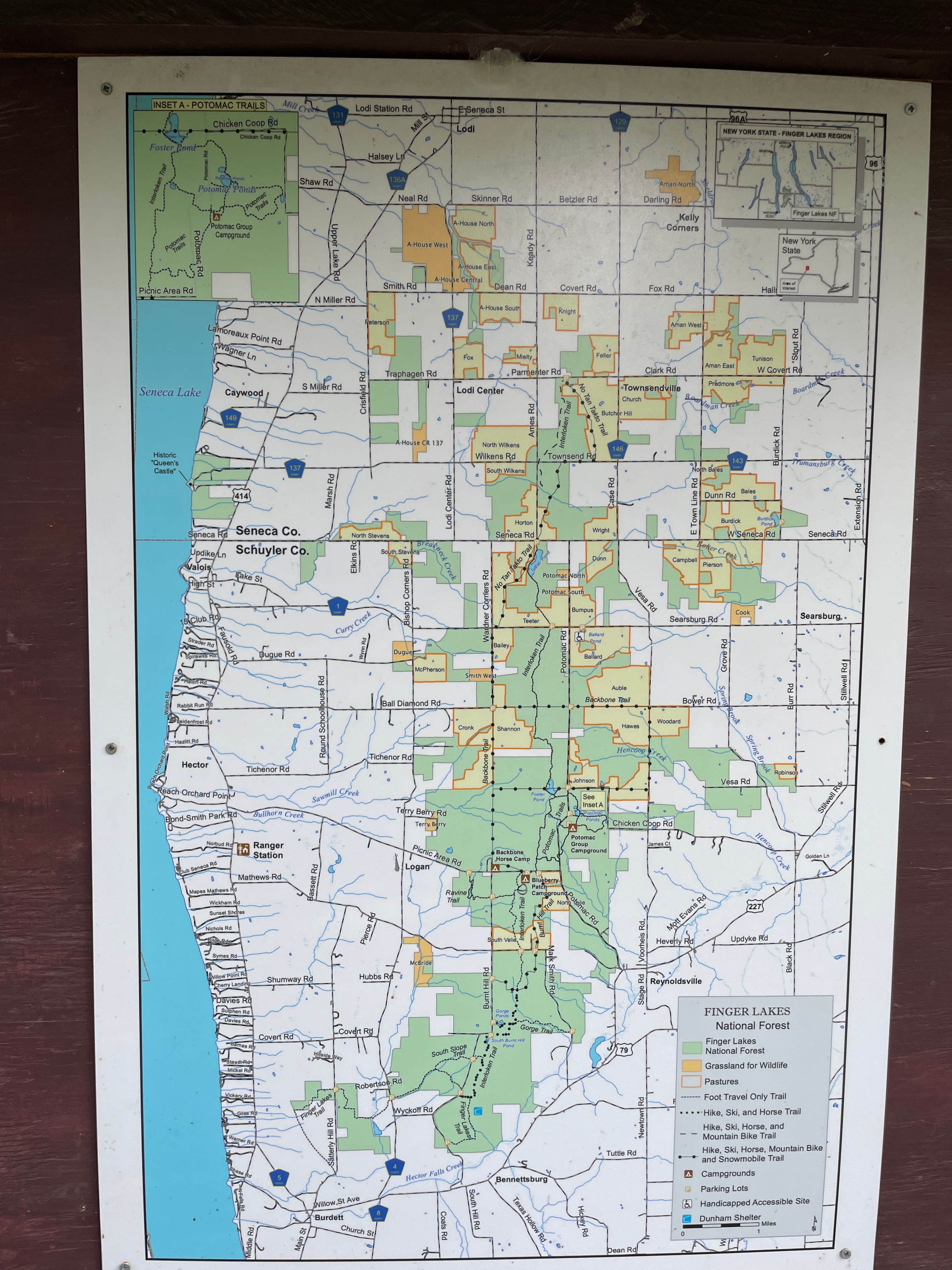 Camper-submitted photo at Foster Pond Camping Area near Mendon, NY