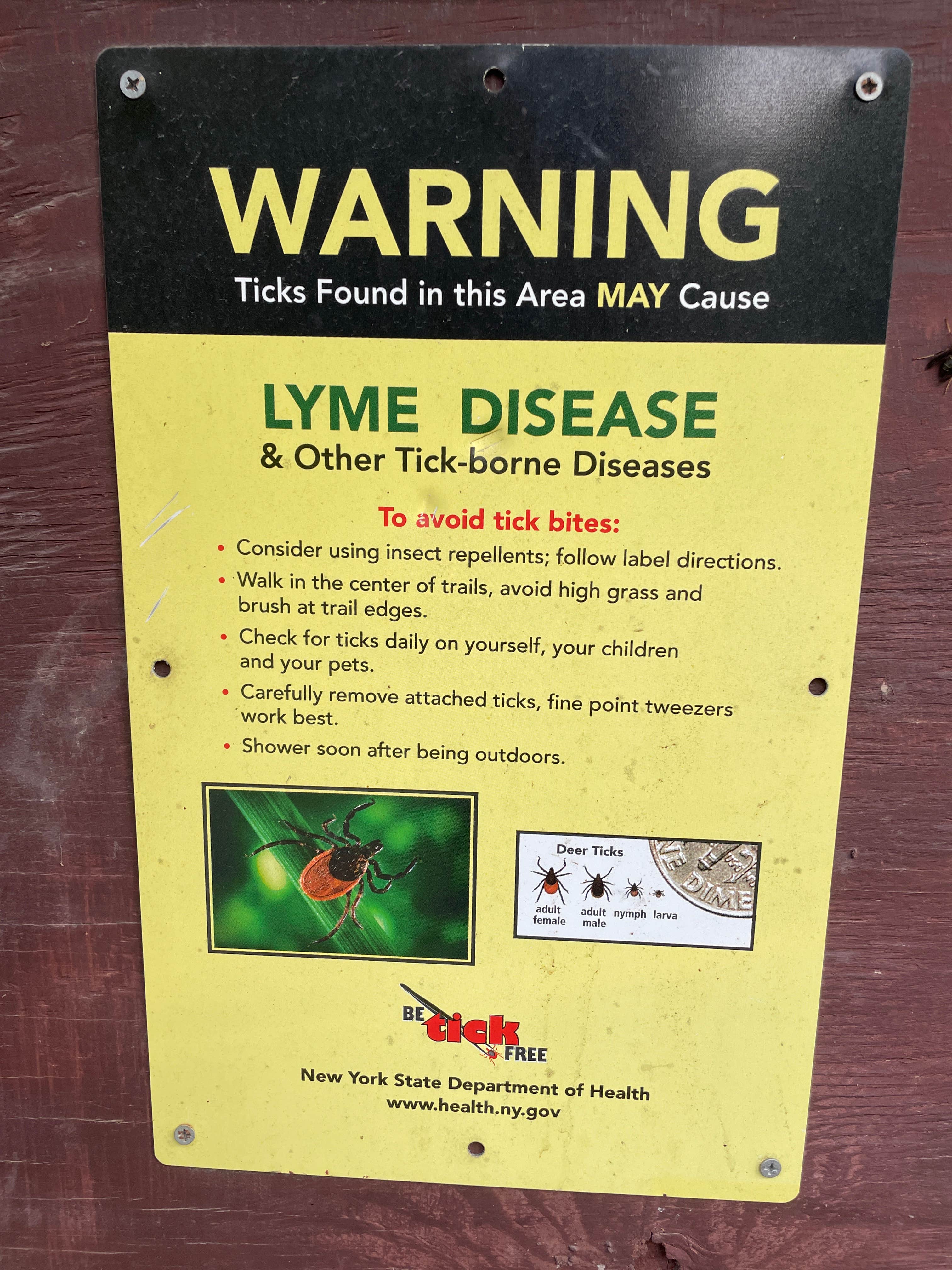 Camper-submitted photo at Foster Pond Camping Area near Mendon, NY