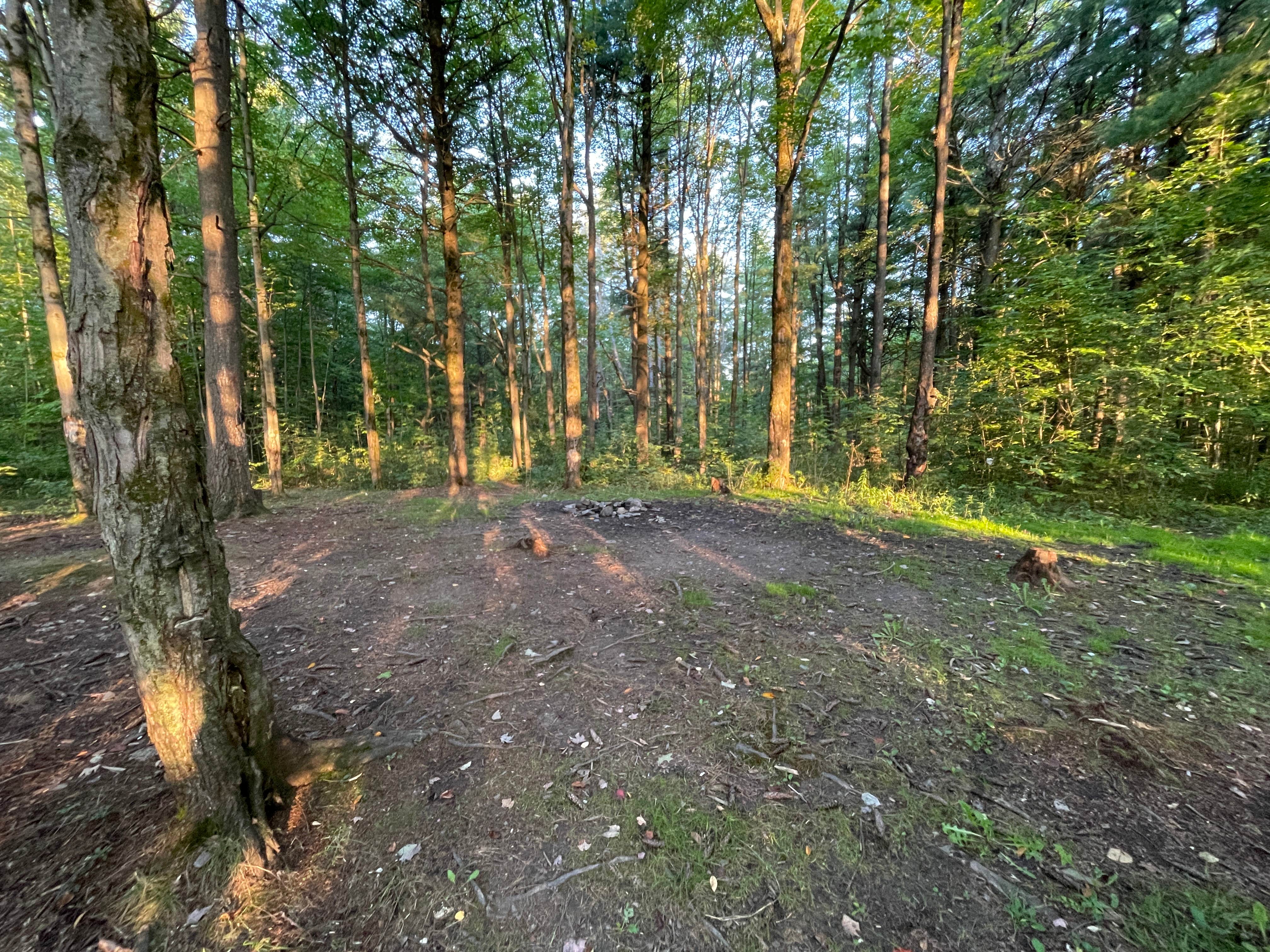 Camper-submitted photo at Foster Pond Camping Area near Mendon, NY