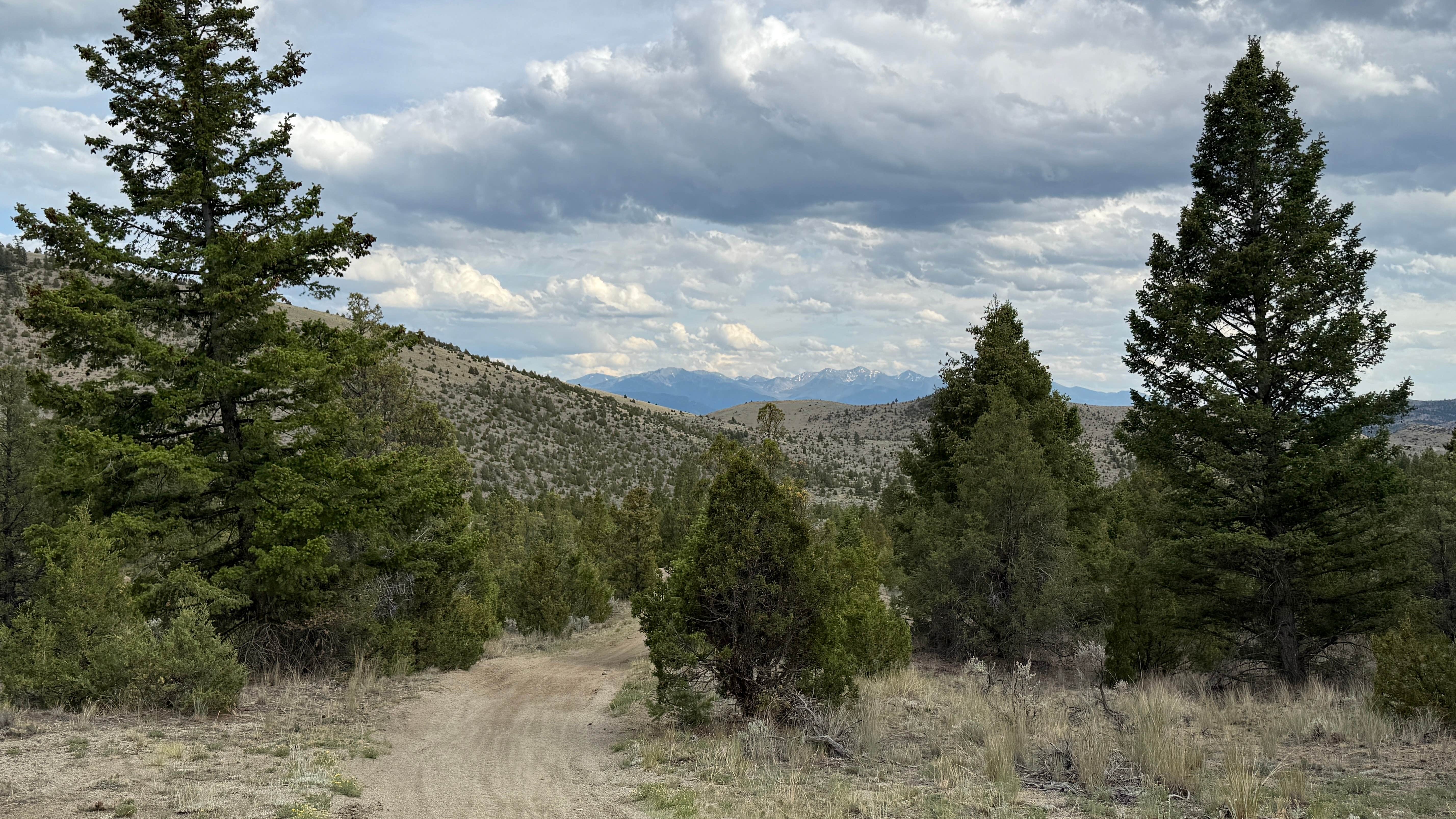 Camping near Pigeon Creek: Four Corners Eastern Camp, Whitehall, Montana