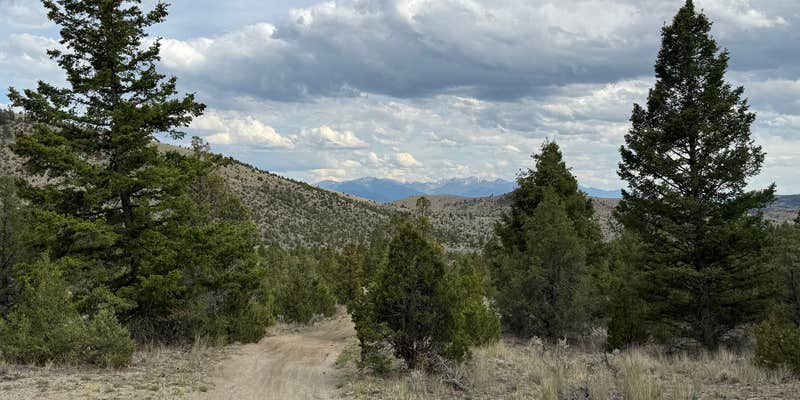 Camper submitted image from Four Corners Eastern Camp