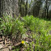 Review photo of Four Corners RV Resort by Lexi W., February 8, 2024