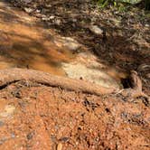 Review photo of Four Corners RV Resort by Lexi W., February 8, 2024