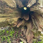 Review photo of Four Corners RV Resort by Lexi W., February 8, 2024