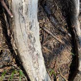 Review photo of Four Corners RV Resort by Lexi W., February 8, 2024