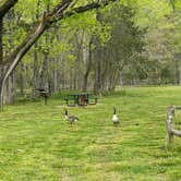 Review photo of Four Corners RV Resort by Lexi W., February 8, 2024