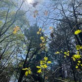 Review photo of Four Corners RV Resort by Lexi W., February 8, 2024