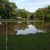 Review photo of Four Coves Campground — Beech Fork State Park by Chelsea B., June 15, 2026