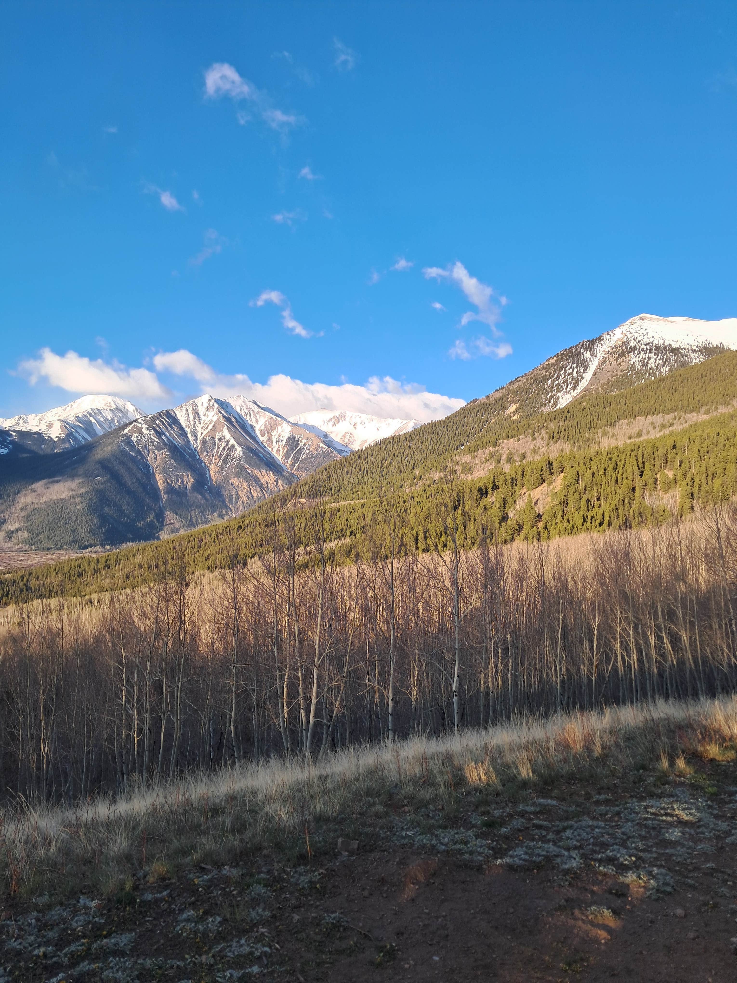 Camping near Halfmoon East — Psicc: Four Eyes Dispersed Campsite, Granite, Colorado