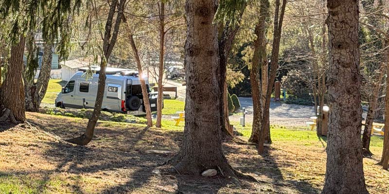 Camper submitted image from Four Fillies Lodge