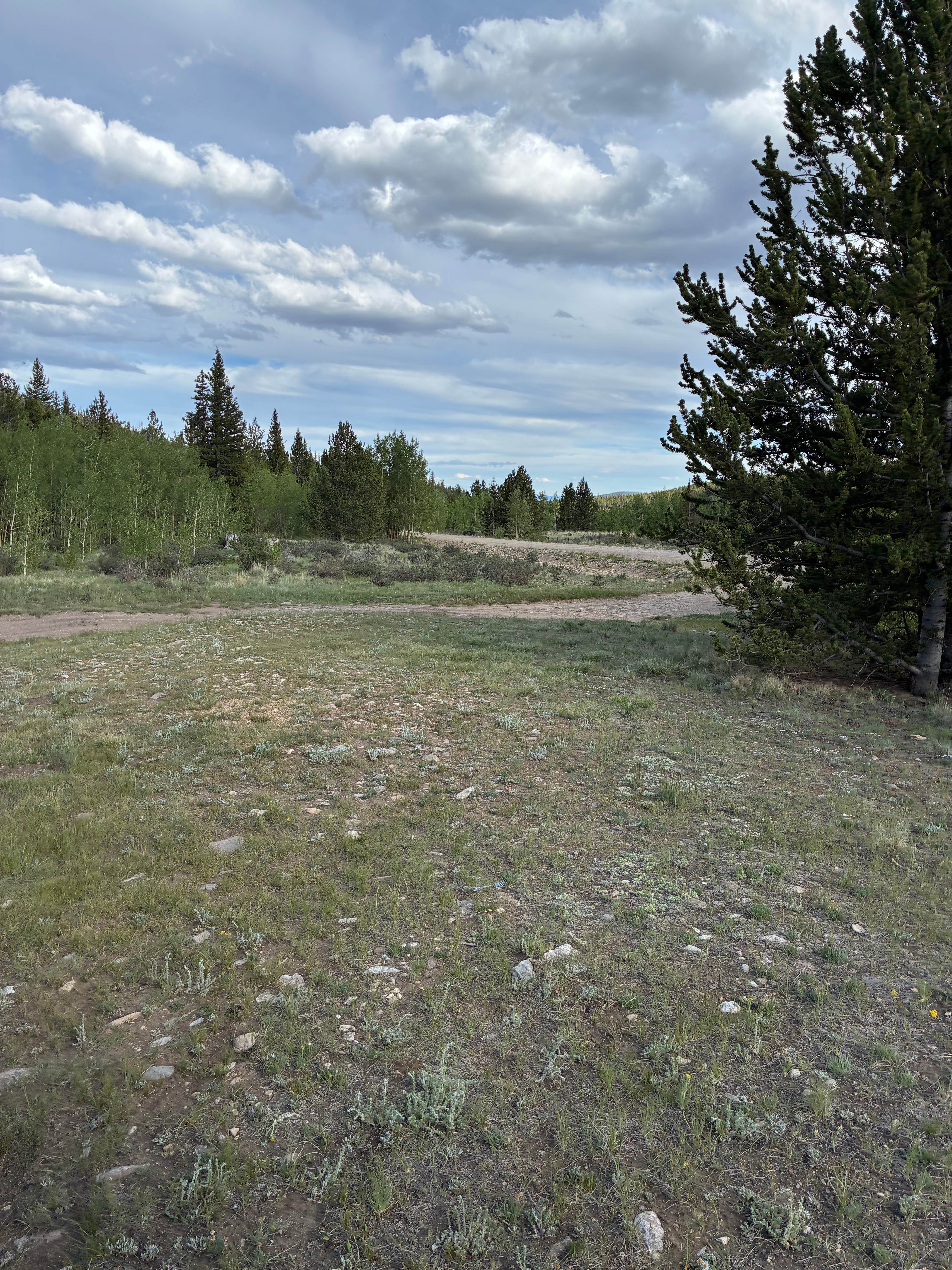 Camper-submitted photo at Four Mile Creek Road Dispersed Camping near Fairplay, CO
