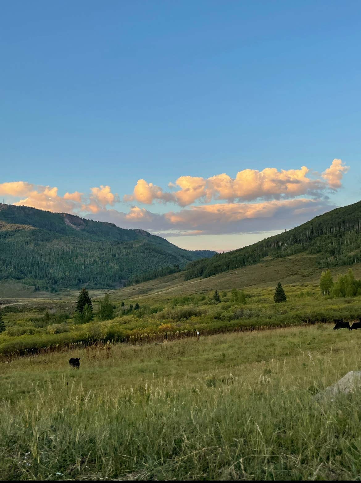 Diana A.'s photo of a dispersed camping area at Four Mile Road Dispersed near Glenwood Springs, CO