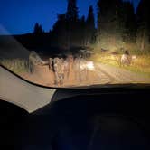 Review photo of Four Mile Road Dispersed by dakota H., August 16, 2026