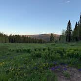 Review photo of Four Mile Road Dispersed by Raven S., June 5, 2026